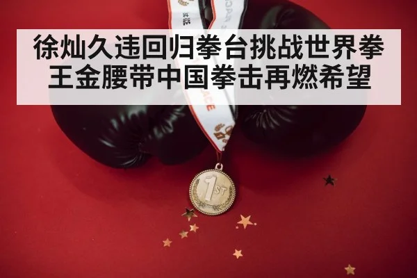 徐灿久违回归拳台挑战世界拳王金腰带中国拳击再燃希望